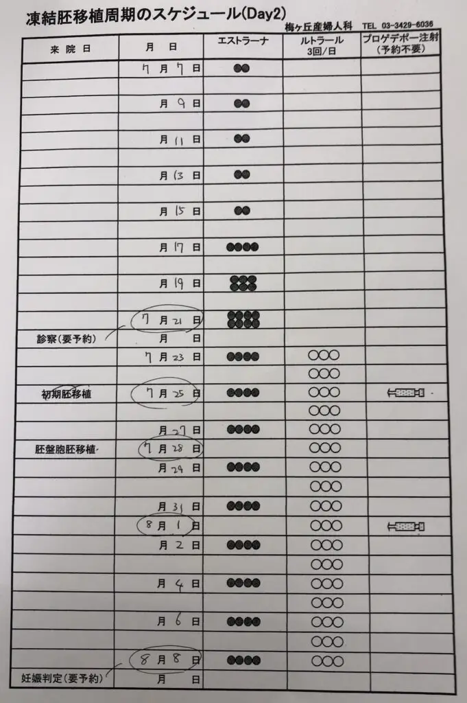 梅が丘産婦人科：凍結胚移植のスケジュール